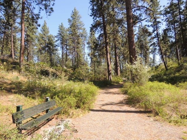 Pathway Into Natural Area